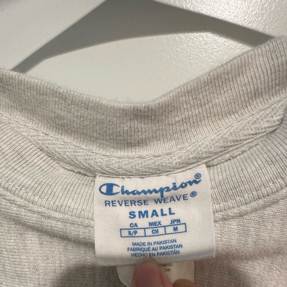Champion Women's Gray Michigan Cropped Hoodie - Picture 4 of 5
